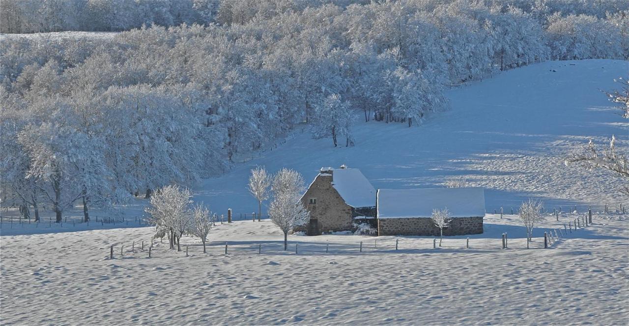 Aux Portes D'Aubrac Studio 2 Personnes Bed & Breakfast Condom-d'Aubrac Bagian luar foto